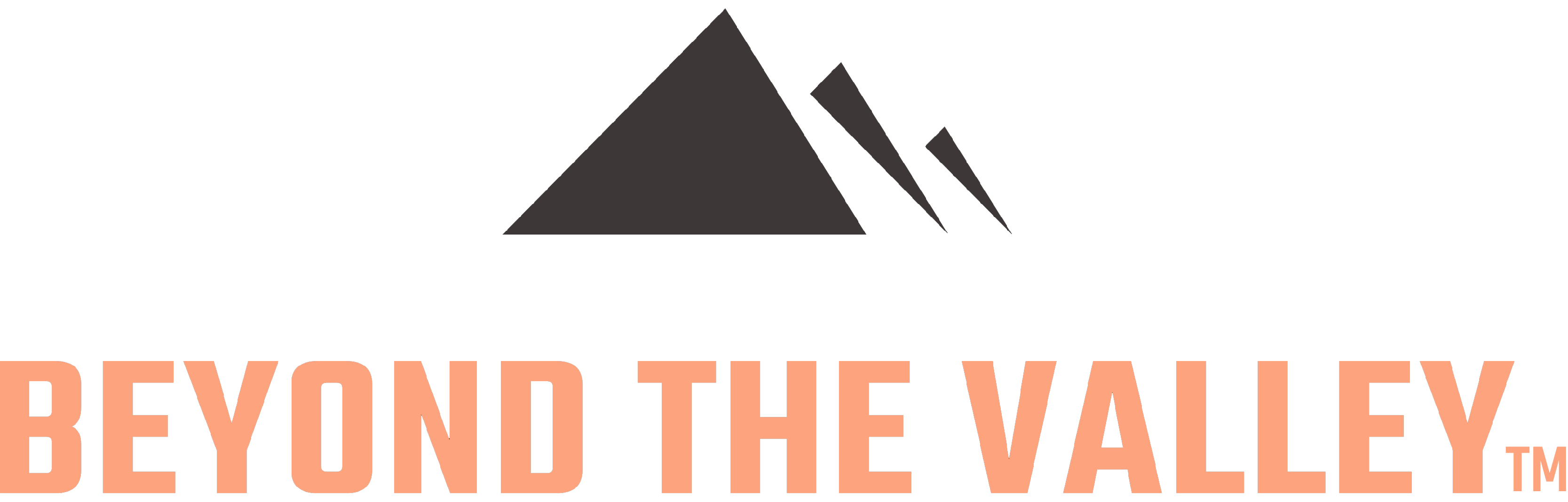 Logo - Beyond The Valley