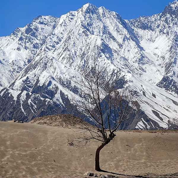 Skardu Desert - Nangma & Thallay La Trek