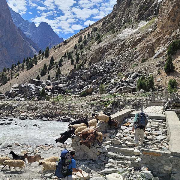 Trail - Charakusa Valley Trek